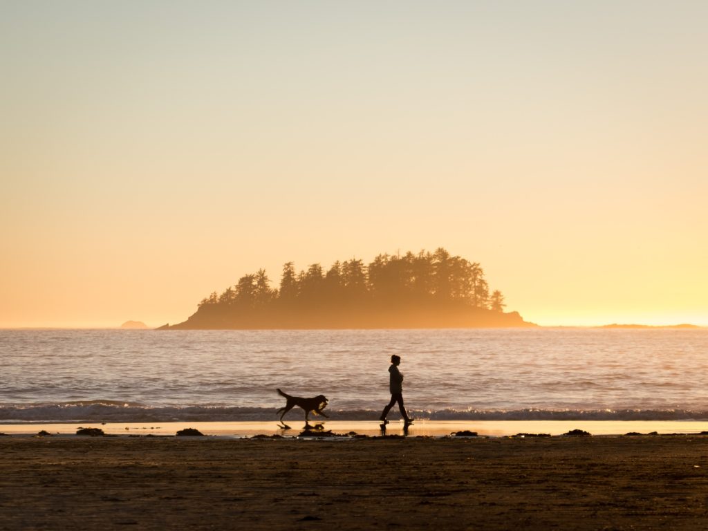 Spacer z psem nad morzem o zachodzie słońca