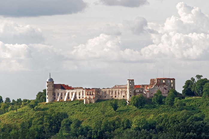 Widok na zamek w Janowcu
