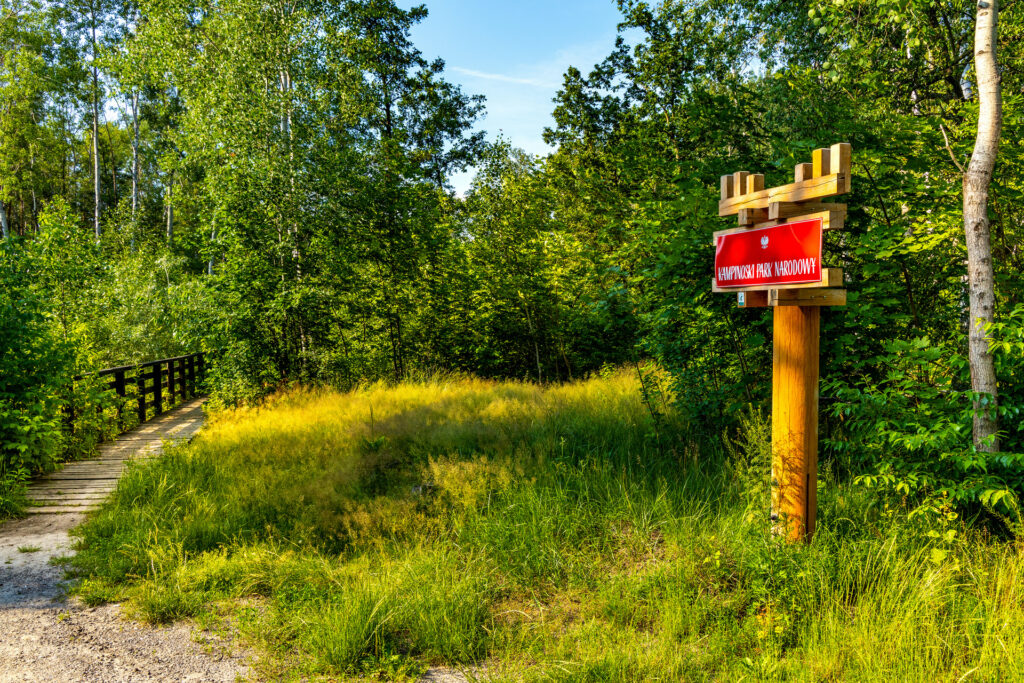 Kampinoski Park Narodowy – informacje i atrakcje