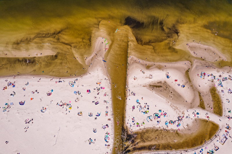 Sinice na plaży w Dąbkach z lotu ptaka