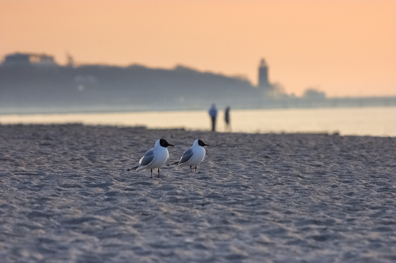 Plaża morska w Kołobrzegu