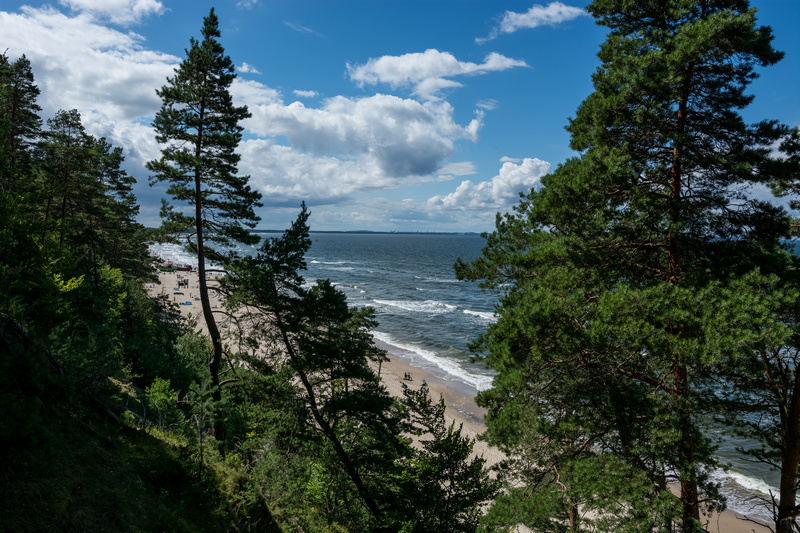 Plaża w Międzyzdrojach za drzewami
