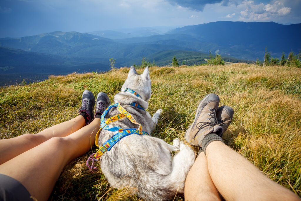 Odpoczynek podczas wycieczki w góry z psem