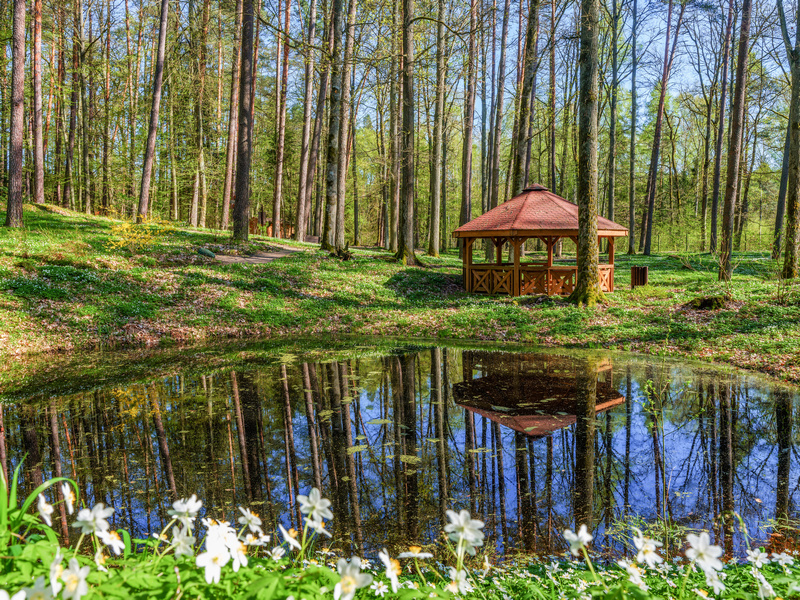 Arboretum w Kudypach wiosną