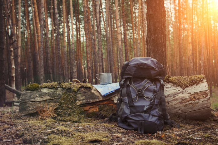 Górski plecak i mapa w lesie podczas wycieczki w góry