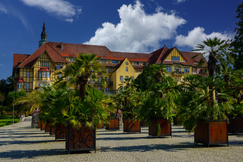  Palmy na tle sanatorium w Kudowie-Zdroju