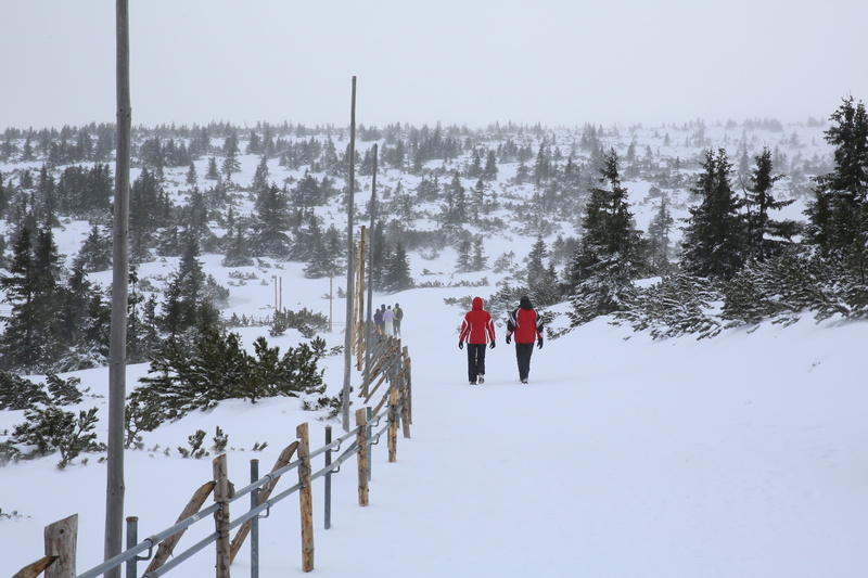 Para spacerująca w śniegu w Karkonoszach