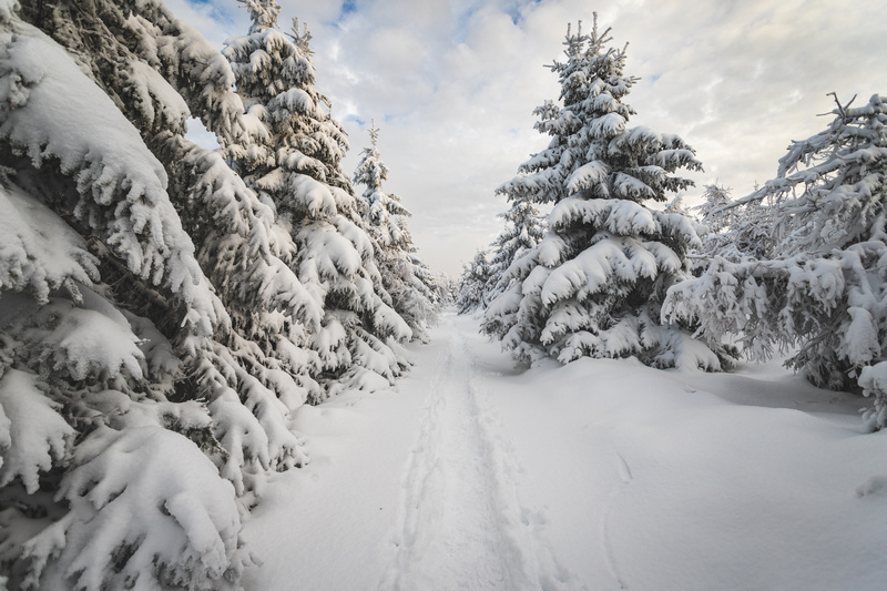 Szlak w Izerach zimą