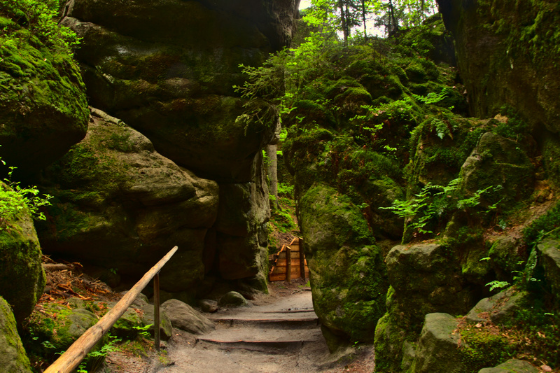 Szlak w Skalnym Mieście