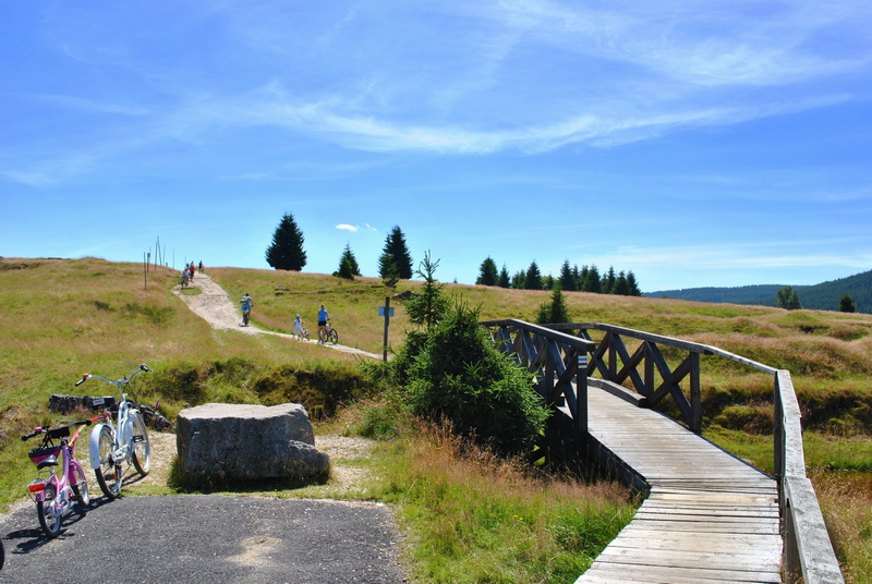 Trasa rowerowa w Górach Izerskich