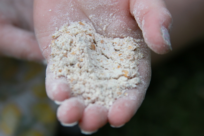 Ziarno zmielone na mąkę w młynie

