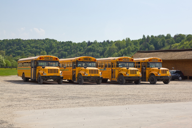 Żółte autobusy w JuraPark Bałtów
