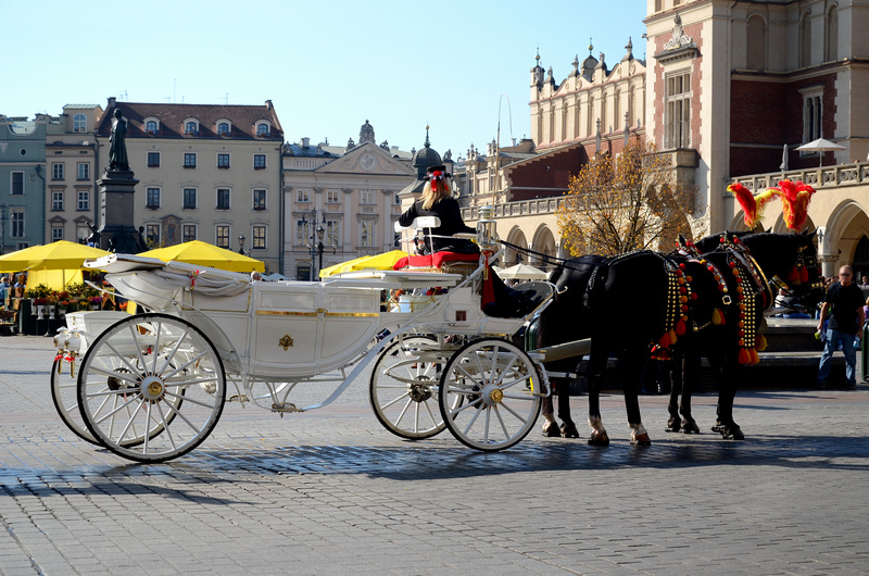 Bryczka z końmi na krakowskim rynku