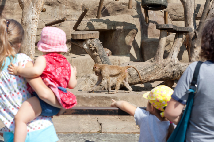 Dzieci w warszawskim zoo