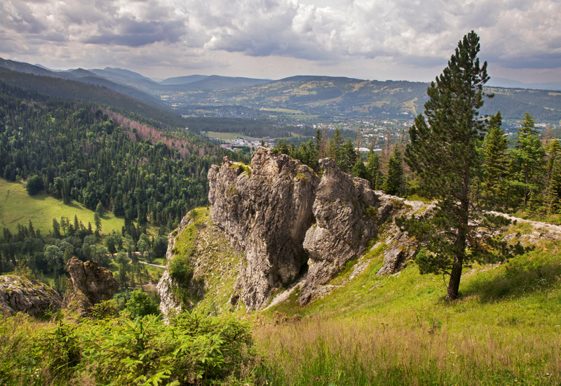 Nosal w Kuźnicach