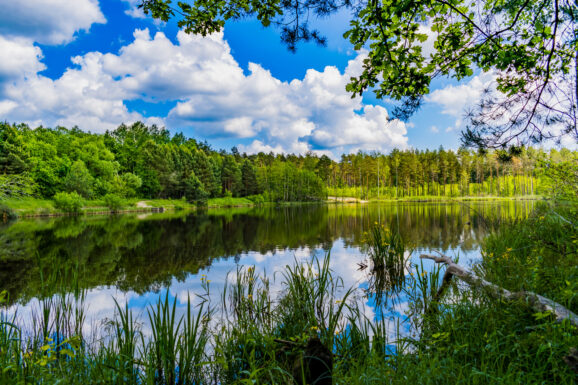 Najczystsze jeziora w Polsce, w których można się kąpać