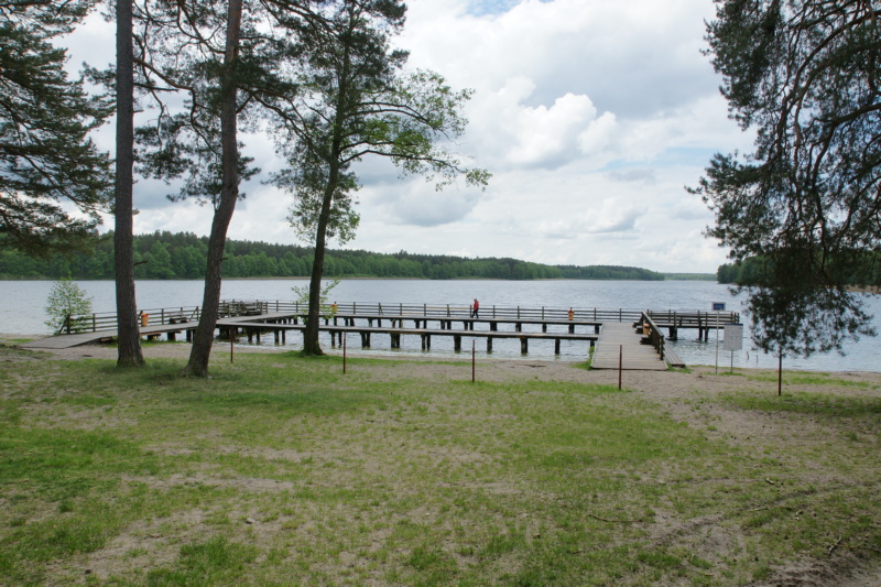 Jezioro Budzisławskie
