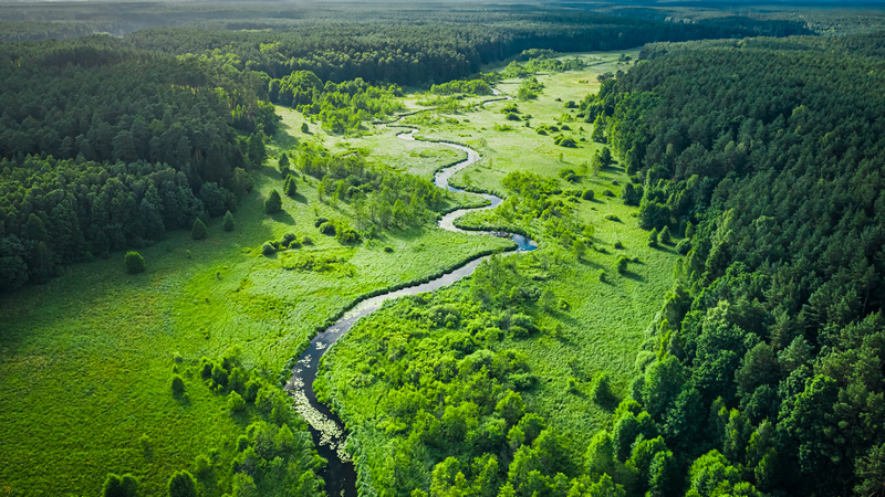 Kręta rzeka na polach pomiędzy zielonymi lasami