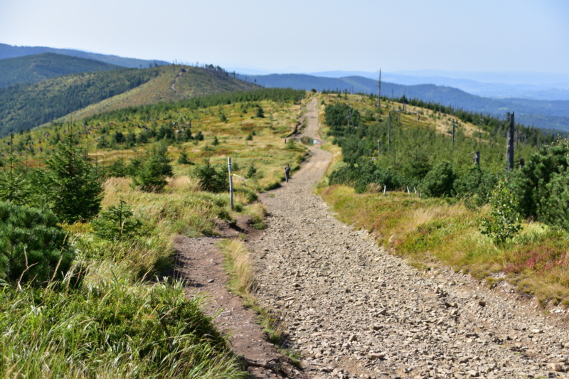 Beskid Śląski