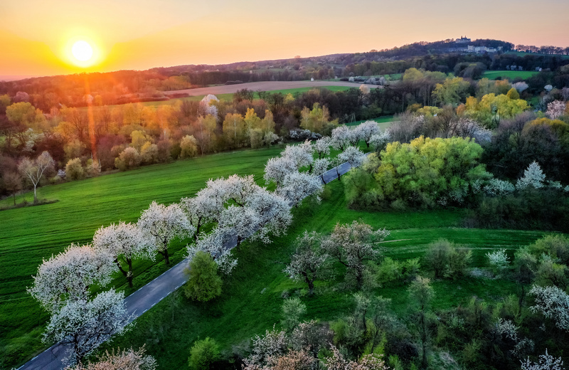 Góra Św. Anny - zachód słońca