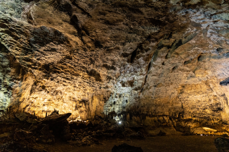 Jaskinia Nietoperzowa - jedna z głównych atrakcji turystycznych Wyżyny Krakowsko-Częstochowskiej