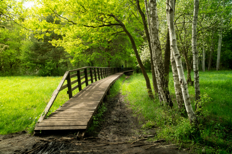 Kampinoski Park Narodowy - popularna atrakcja turystyczna Mazowsza