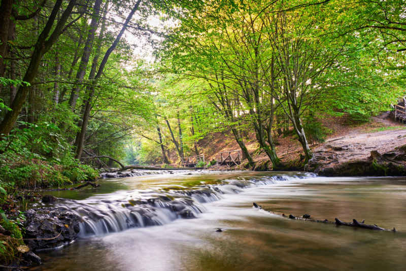 Rezerwat przyrody Szumy nad Tanwią