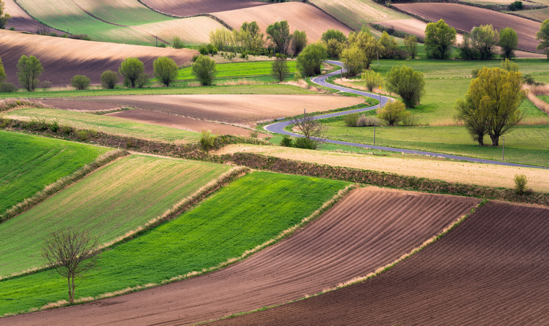 Różnokolorowe pola na Ponidziu