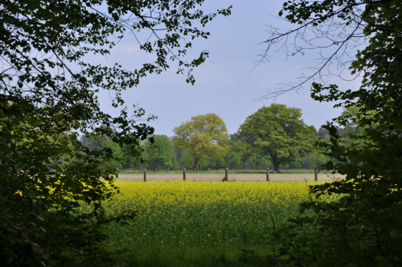 Stobrawski Park Krajobrazowy