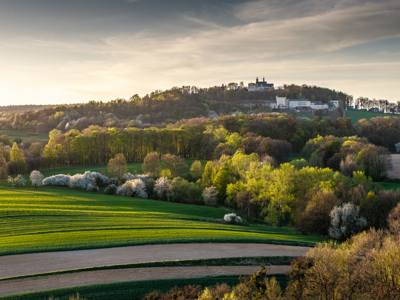 Widok na Górę Św. Anny