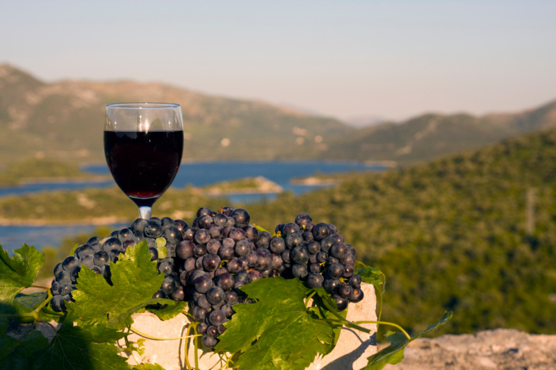 Chorwackie winogrona i wino