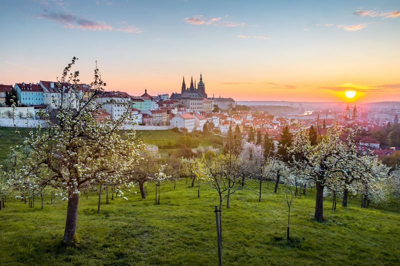 Panorama Pragi z wzgórza Petřín