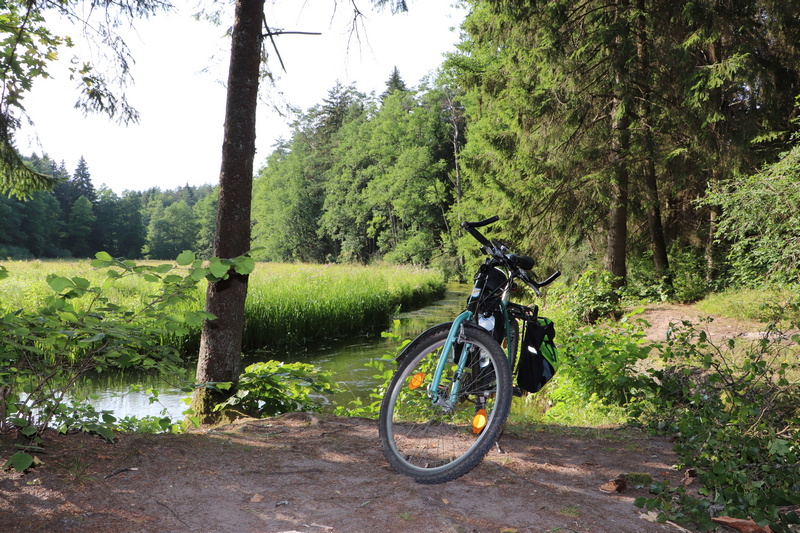 Rower w Dolinie Rospudy