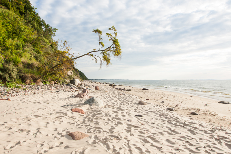 Wydmy i plaża nad Bałtykiem