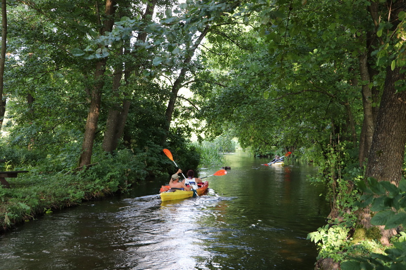 Kajaki w Dolinie Rospudy
