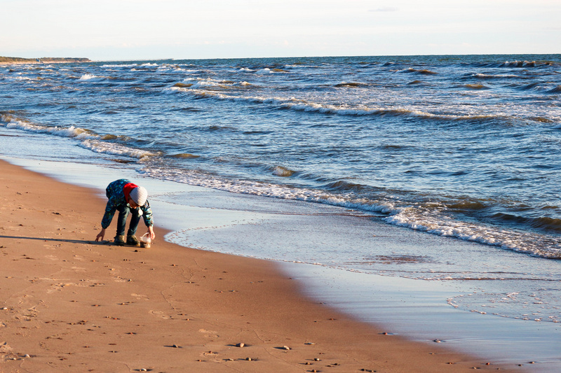 Szukanie bursztynu na plaży