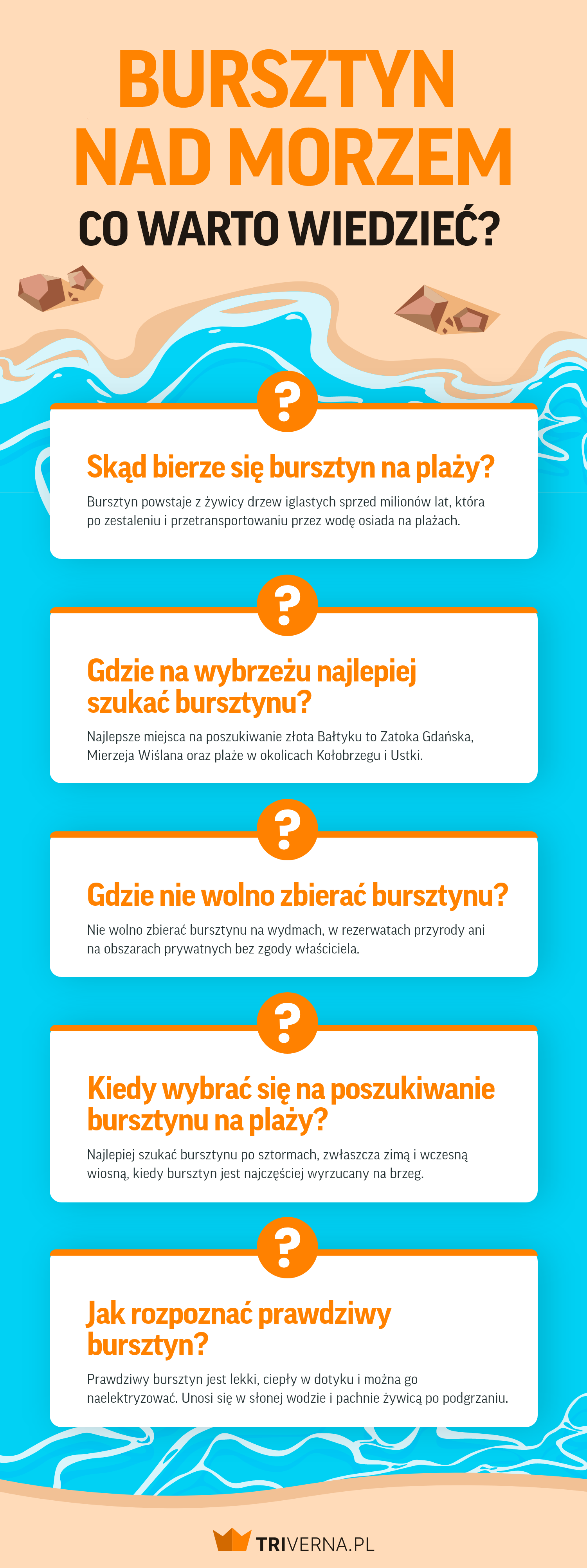 ciekawostki o bursztynie - infografika