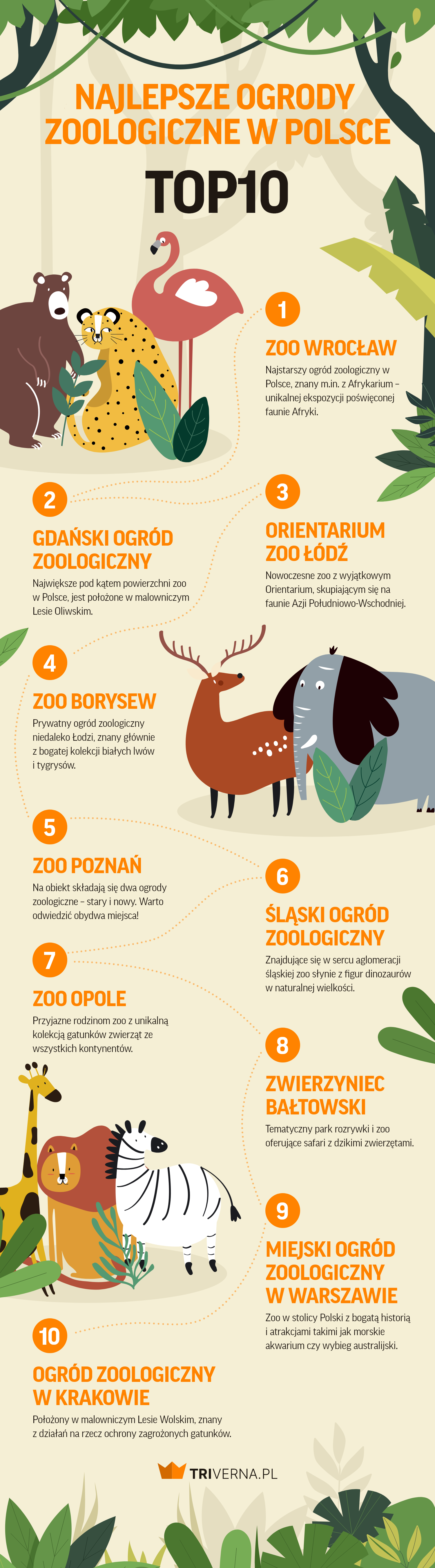 Najlepsze ogrody zoologiczne w Polsce - infografika