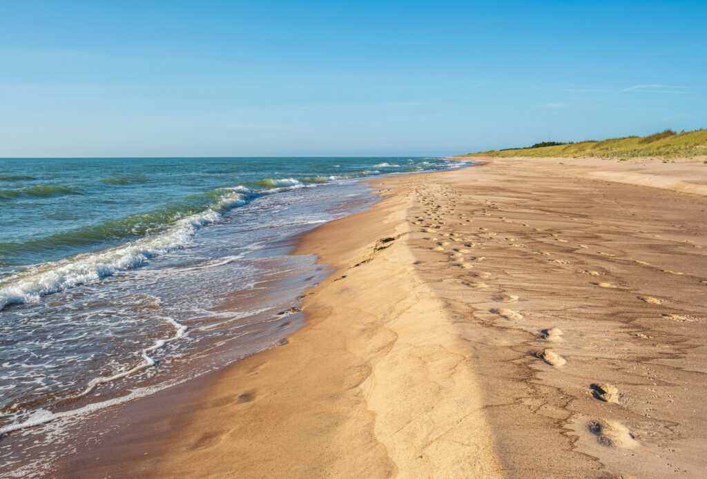 Dzikie plaże nad Bałtykiem, na których nie spotkasz tłumów