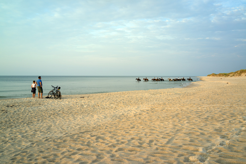 Konie na plaży Stilo