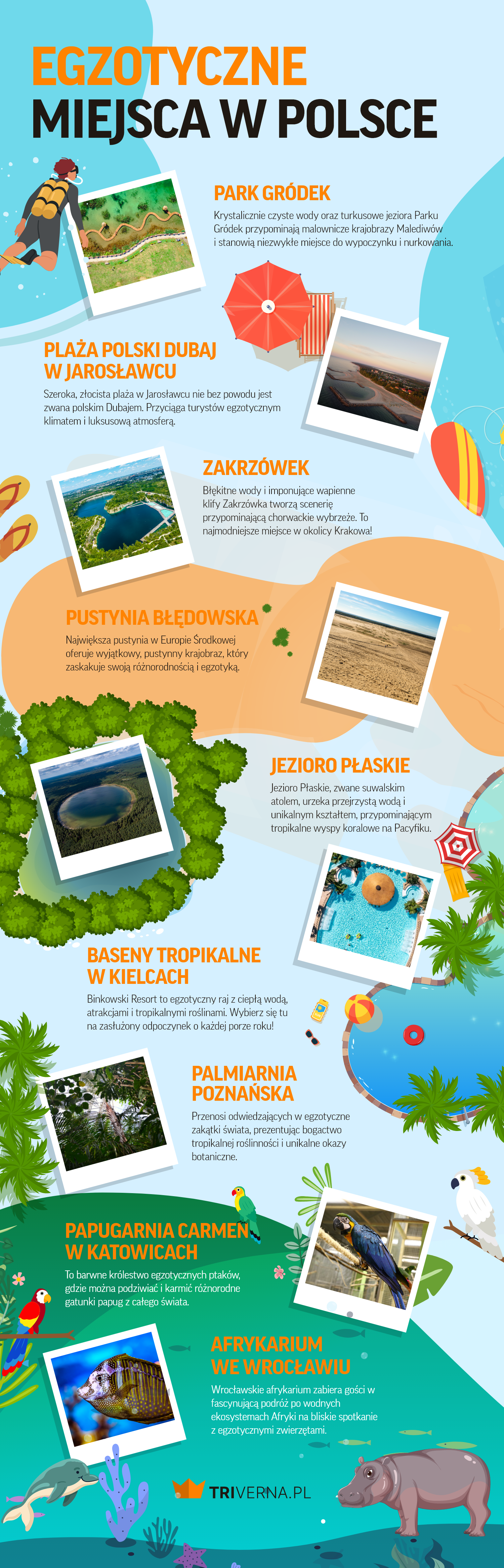 Egzotyczne miejsca w Polsce - infografika