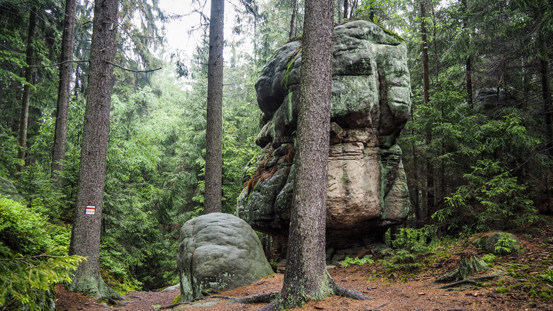 Szlak w Górach Stołowych