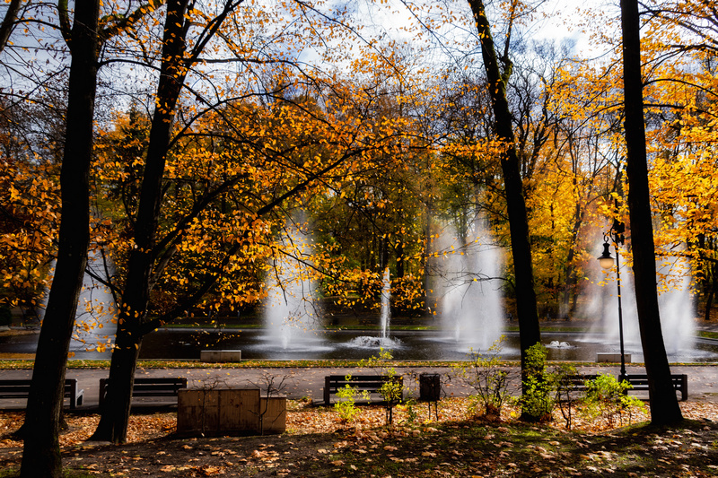 Białostocki Park Planty jesienią