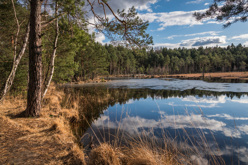 Mazowiecki Park Krajobrazowy