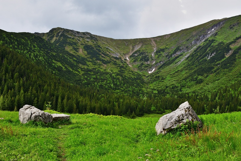 Tatrzańska natura i Przełęcz Kondracka