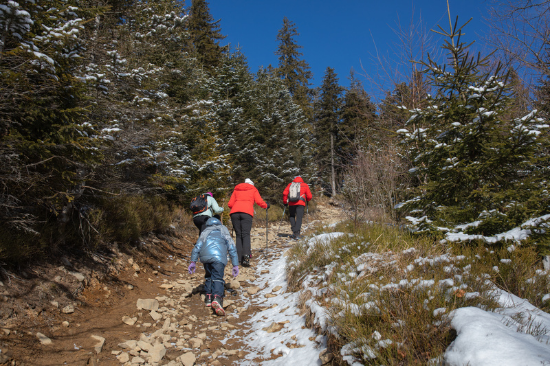 Turyści wchodzący na Radziejową