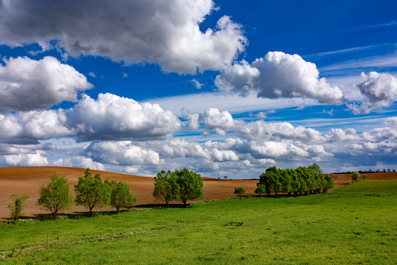 Widok Mazur Garbatych