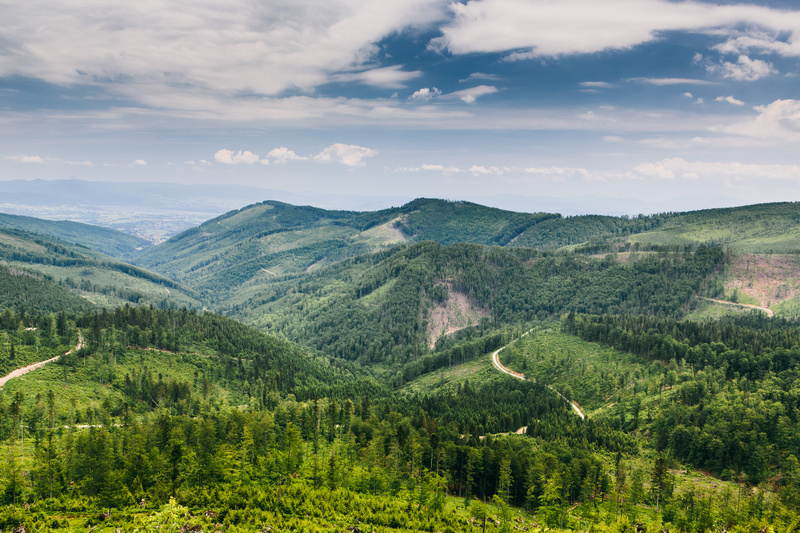 Widok na Beskidy w Szczyrku