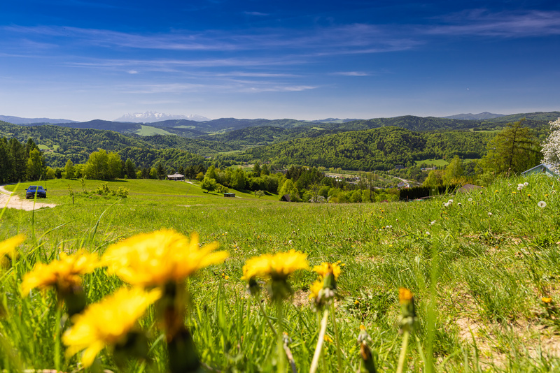 Wiosna w Beskidzie Sądeckim