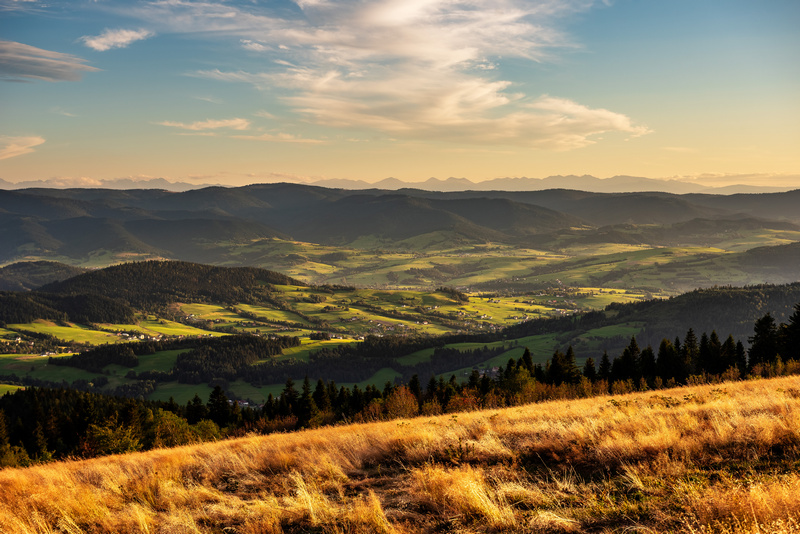 Widok na Gorce i Tatry z Ćwilina